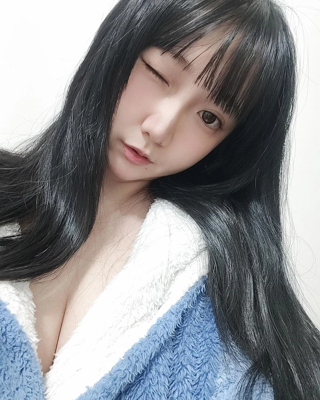 31261827.webp