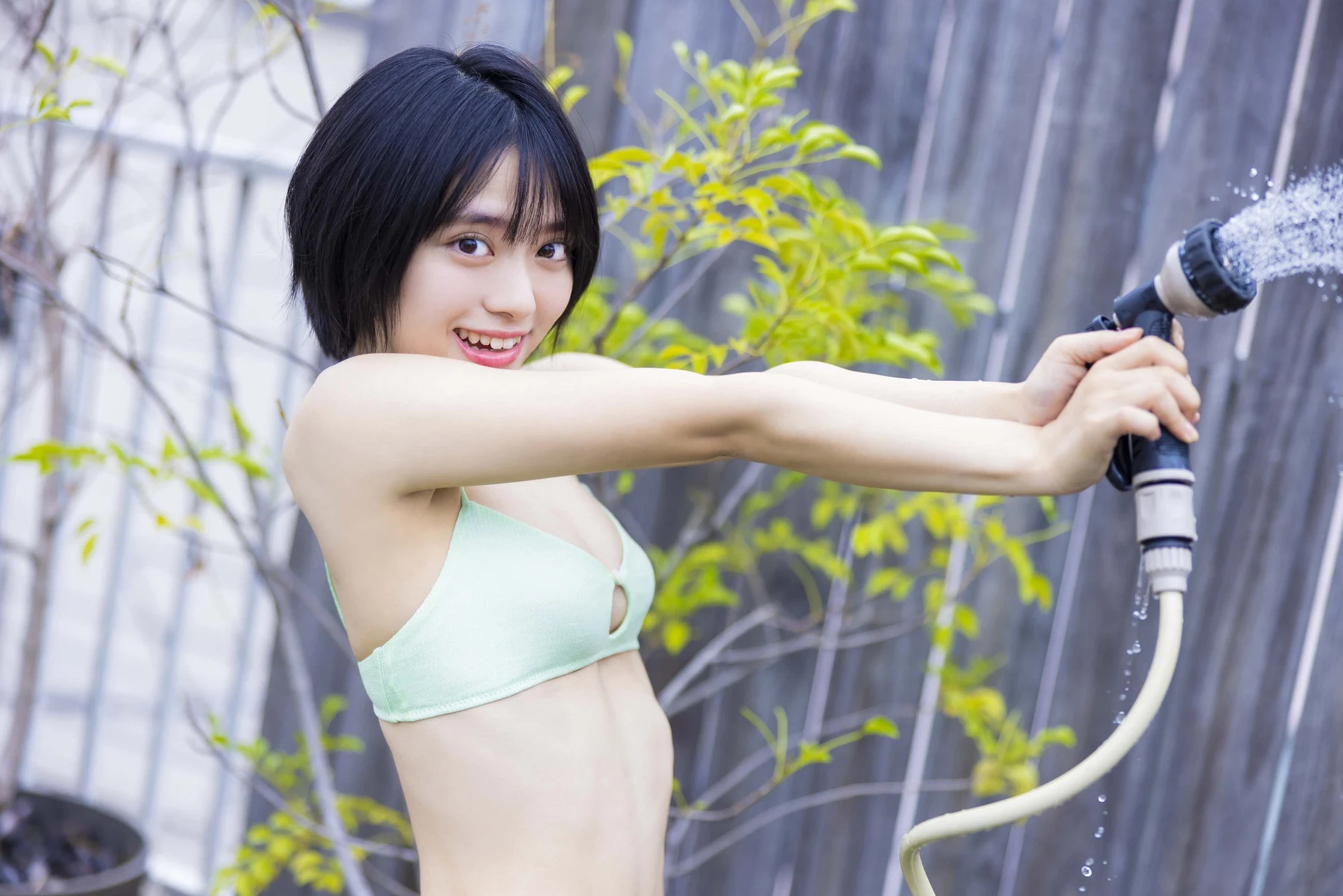 29149894.webp