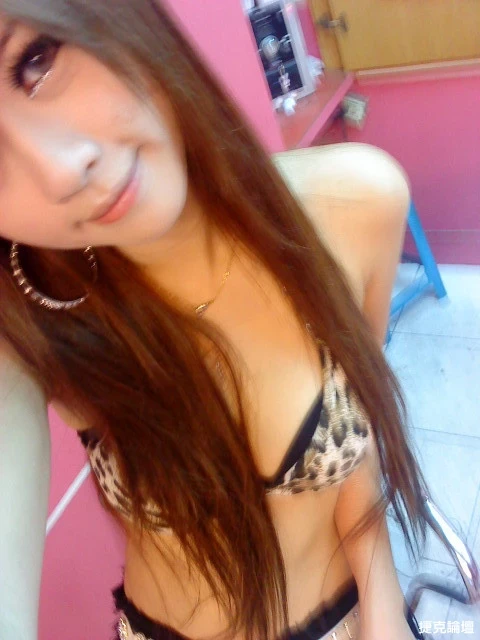 17567833.webp