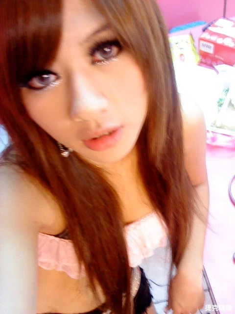 17567847.webp