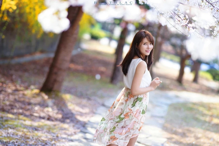 17166203.webp