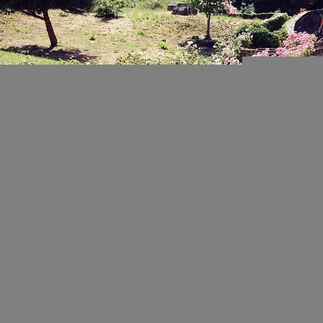 16801146.webp