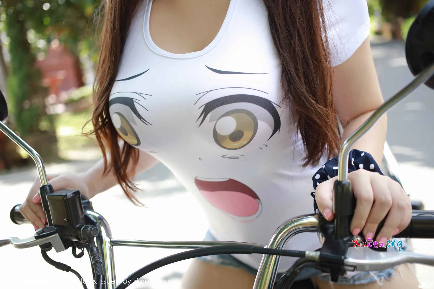 16883267.webp