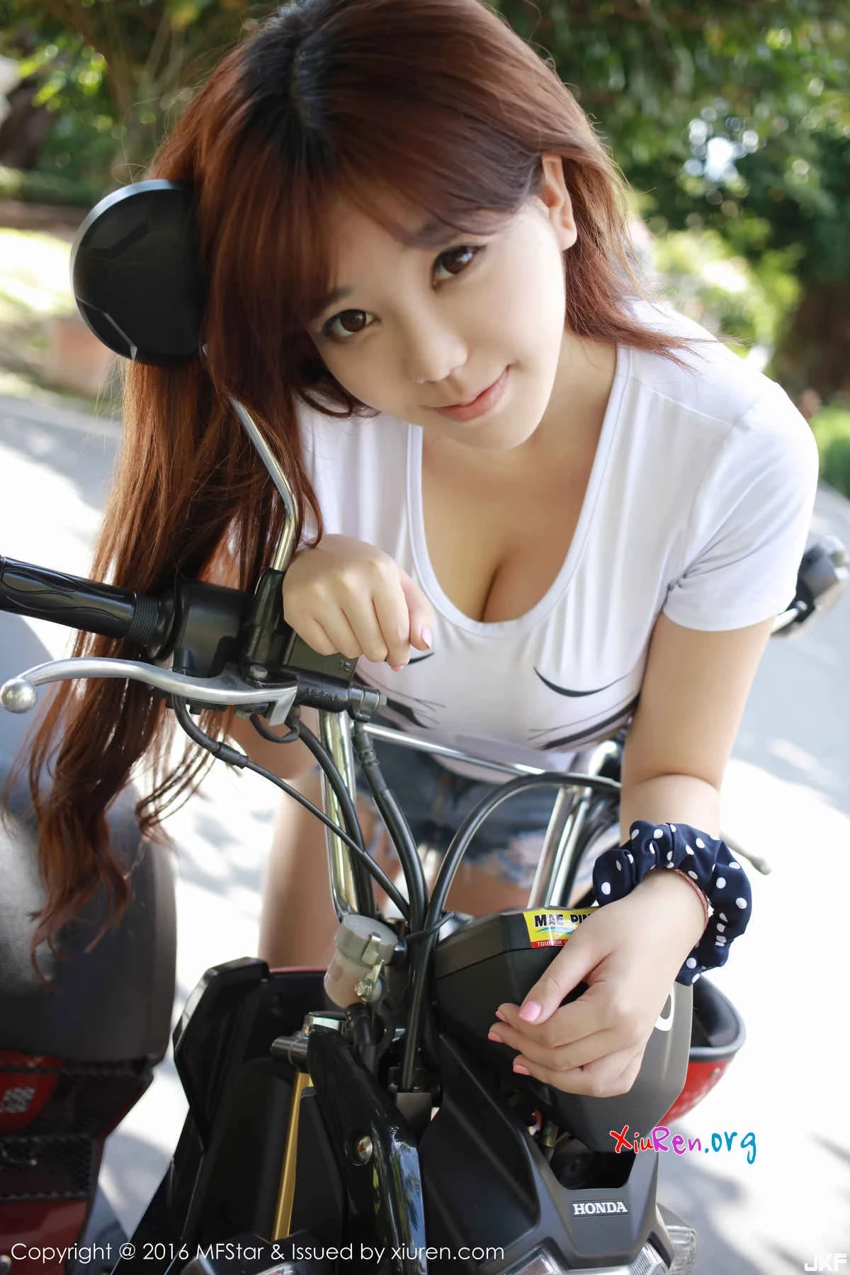 16883273.webp