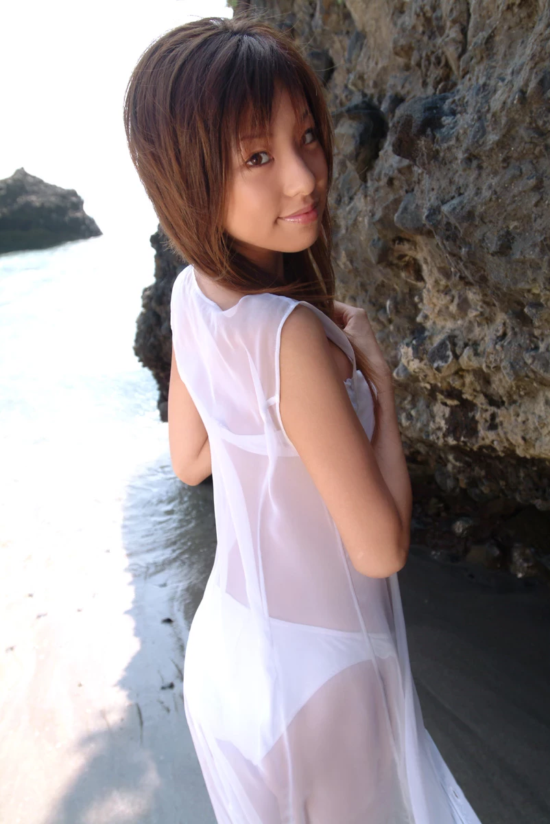 17259362.webp