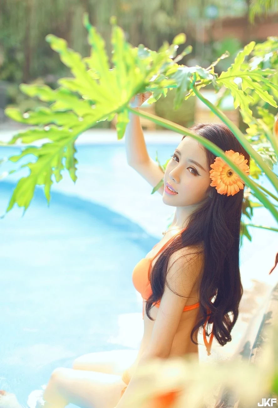 16855165.webp