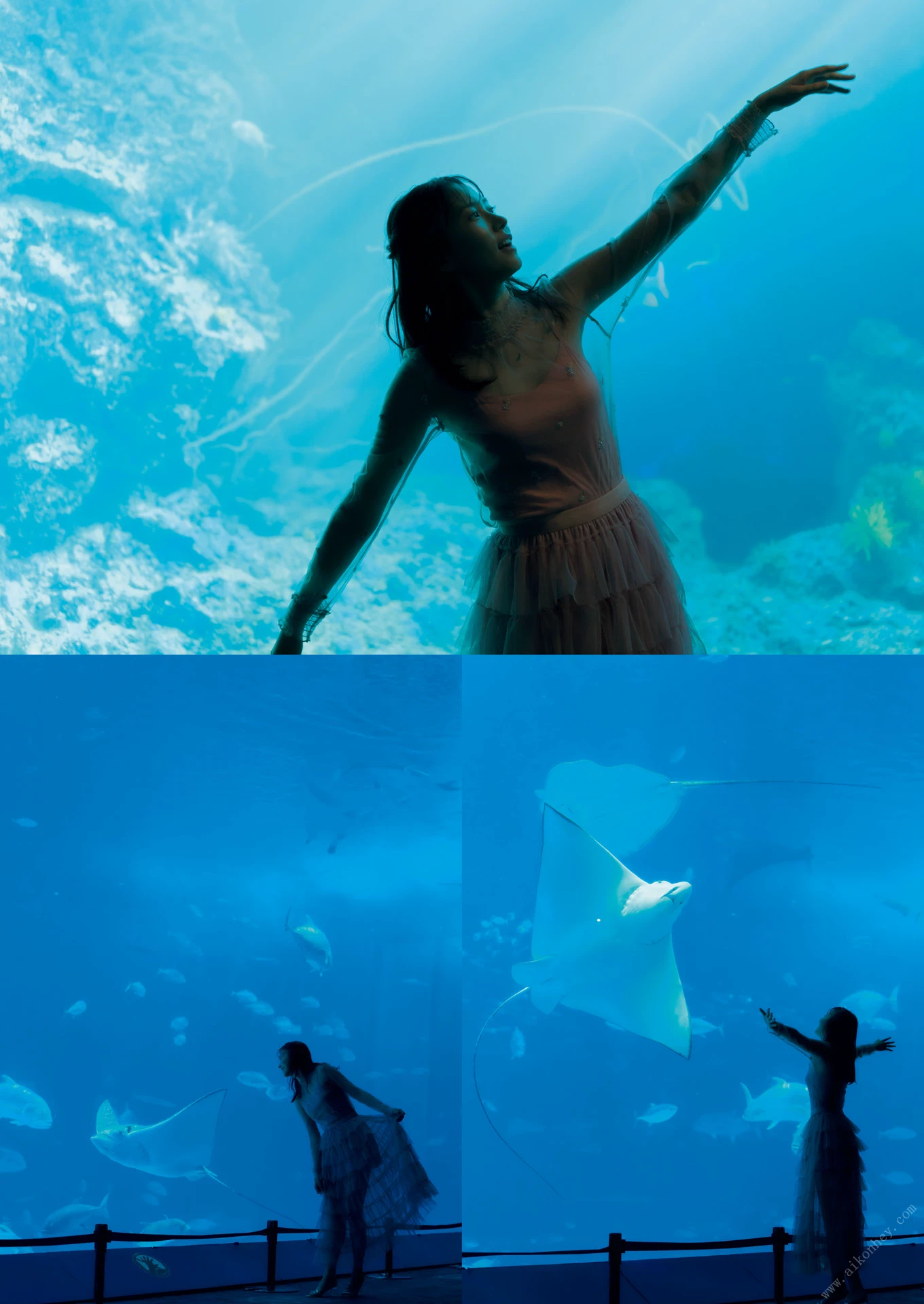 28712933 (1).webp