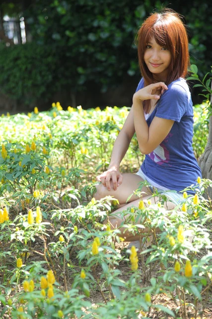 17336214.webp