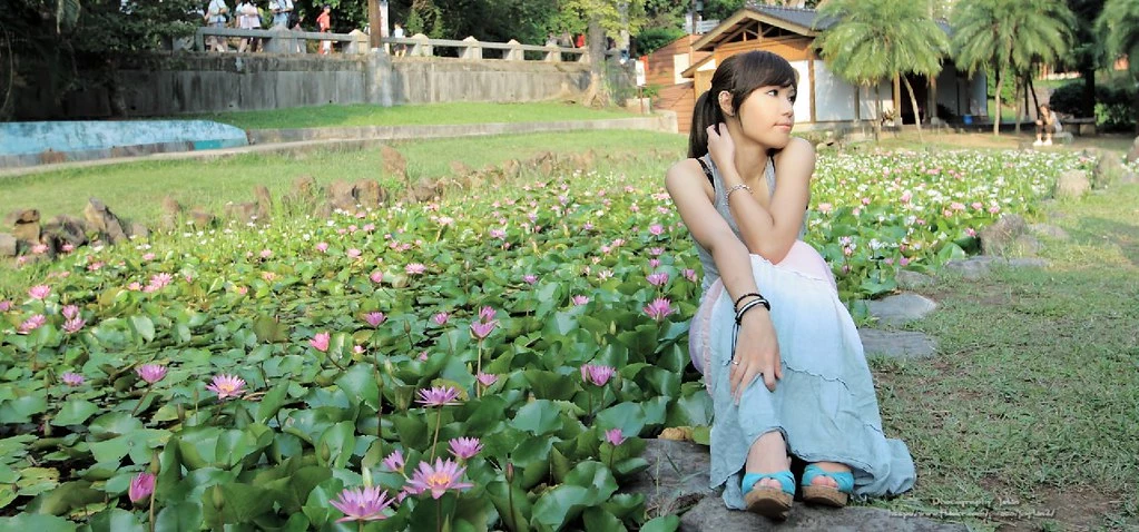 17803615.webp