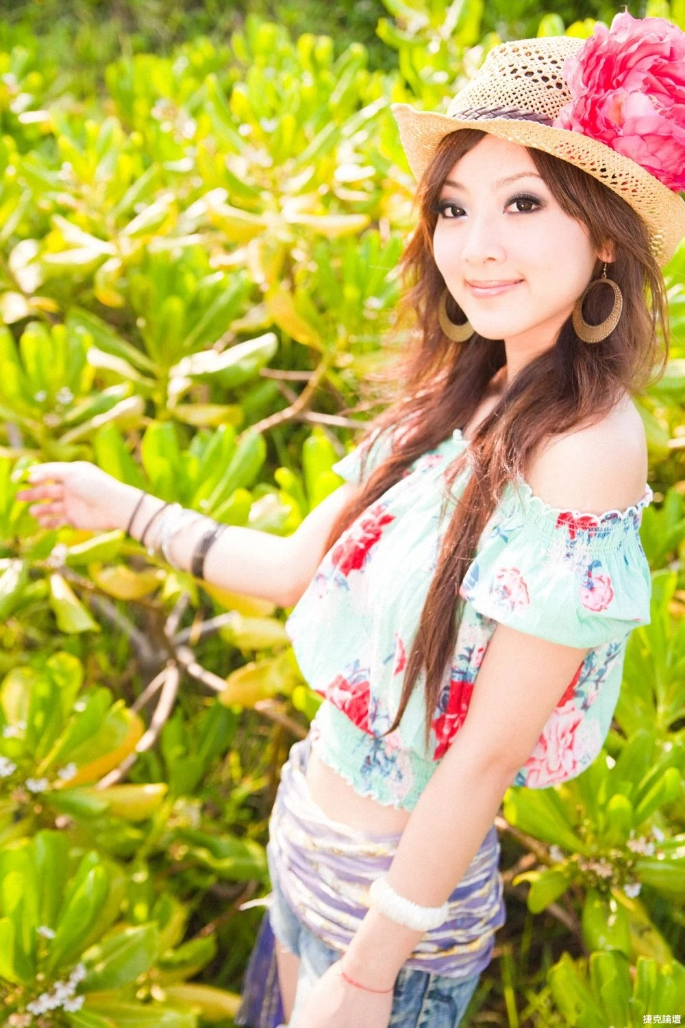 17516388.webp
