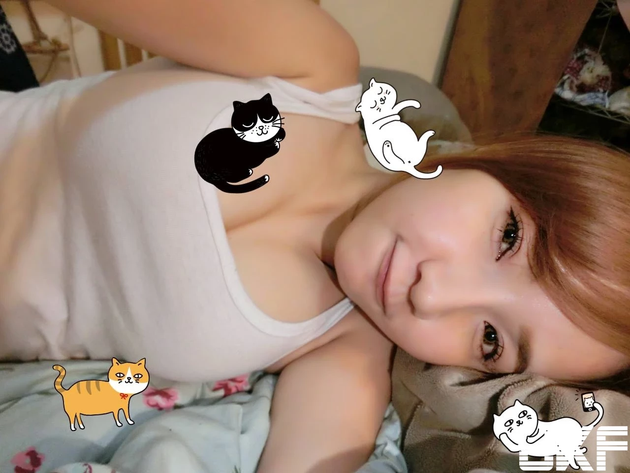 16843889.webp