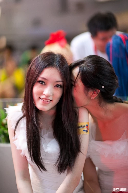17462028.webp