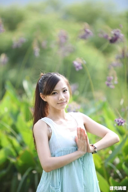 17458565.webp
