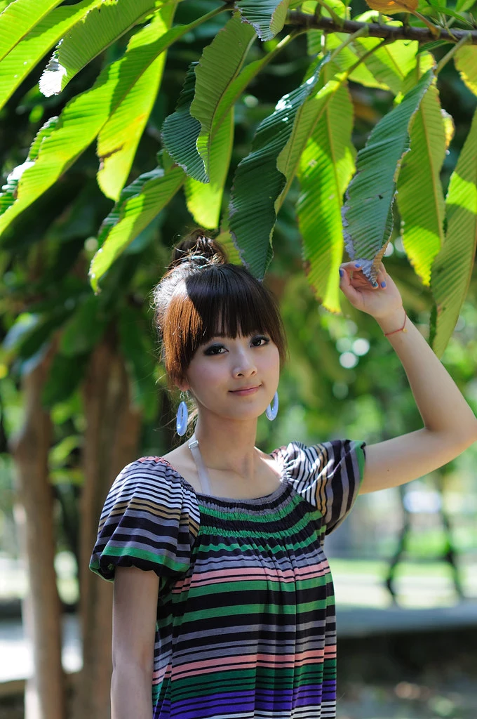17673453.webp