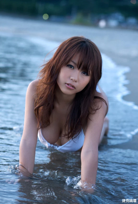 17274421.webp