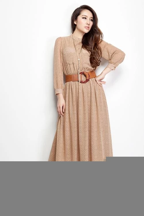 17312537.webp