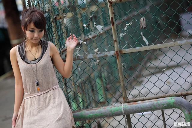 17530516.webp