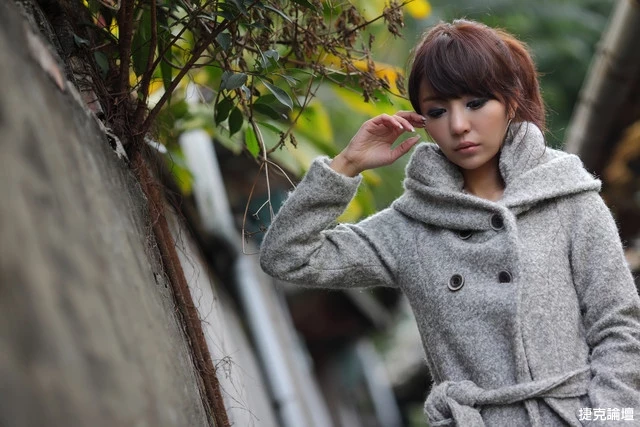 17530541.webp