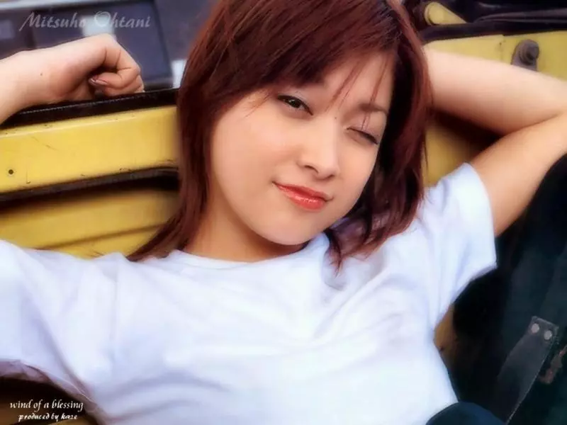17603497.webp