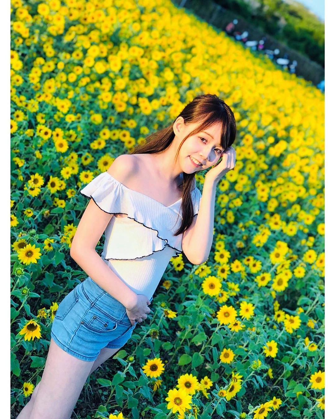 4047134.webp