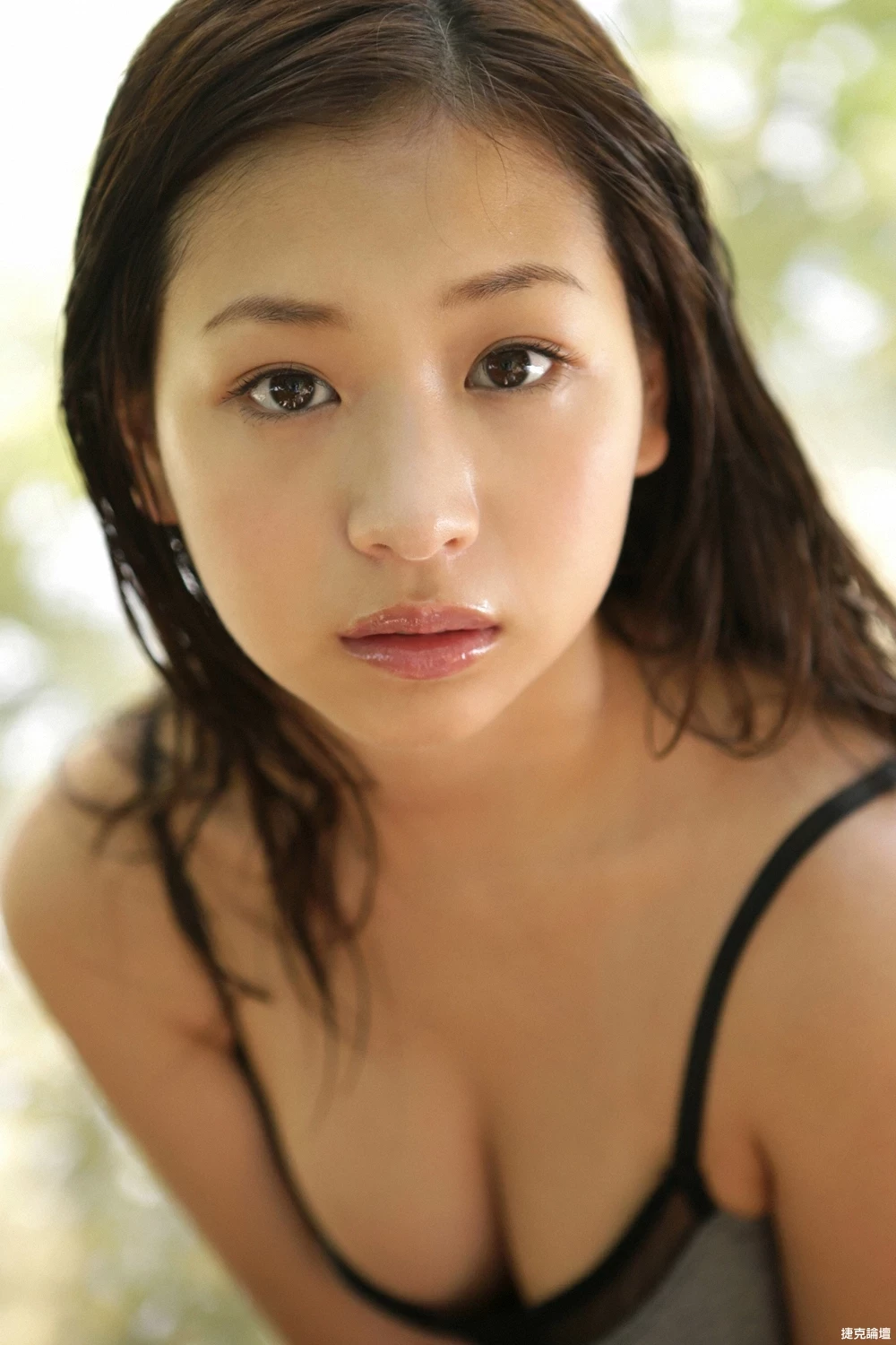17330263.webp