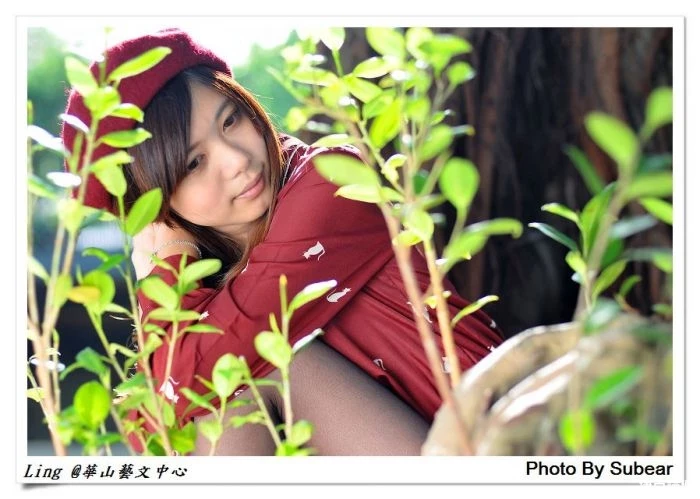 17365003.webp