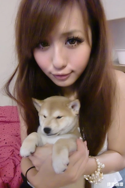 17350763.webp