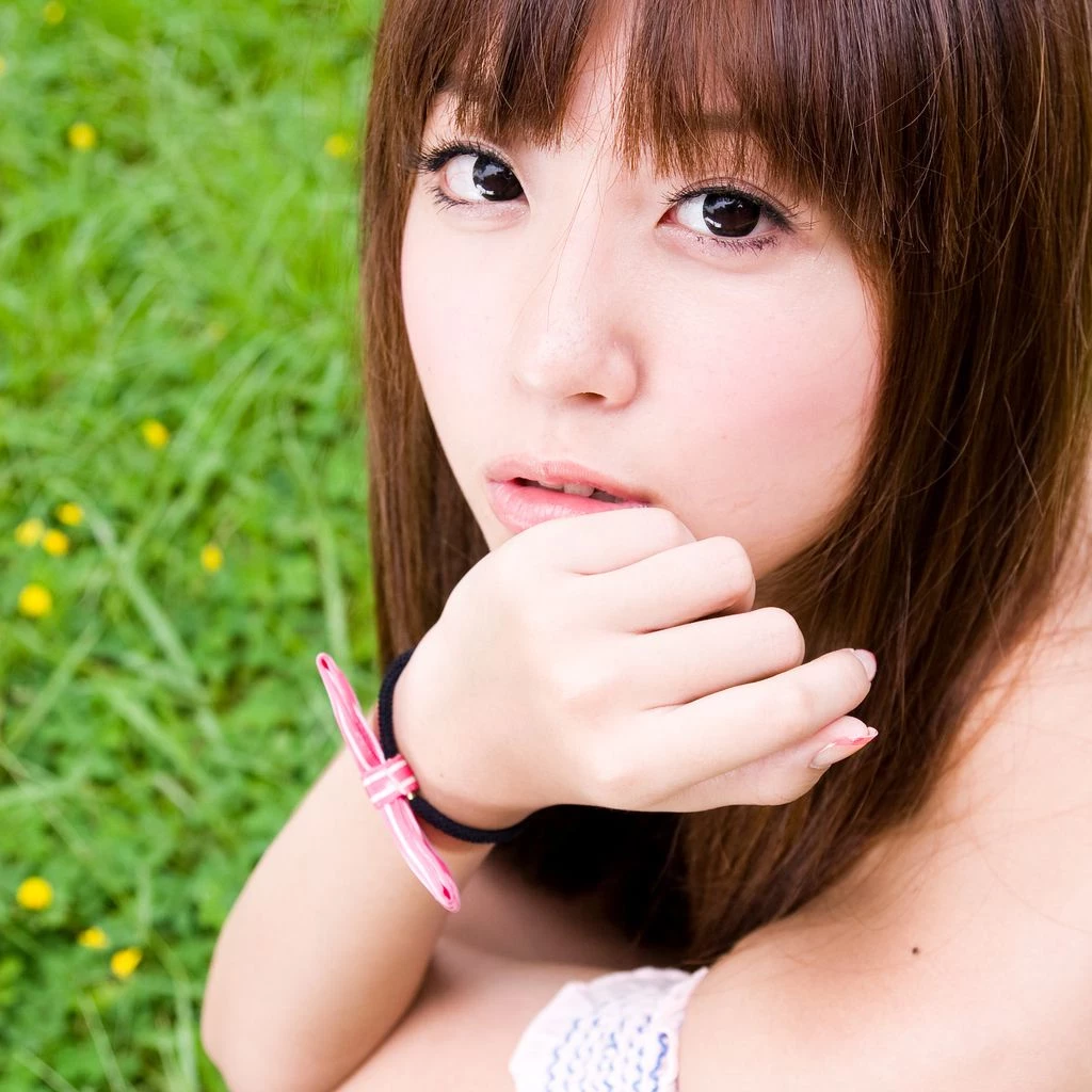 4481504.webp
