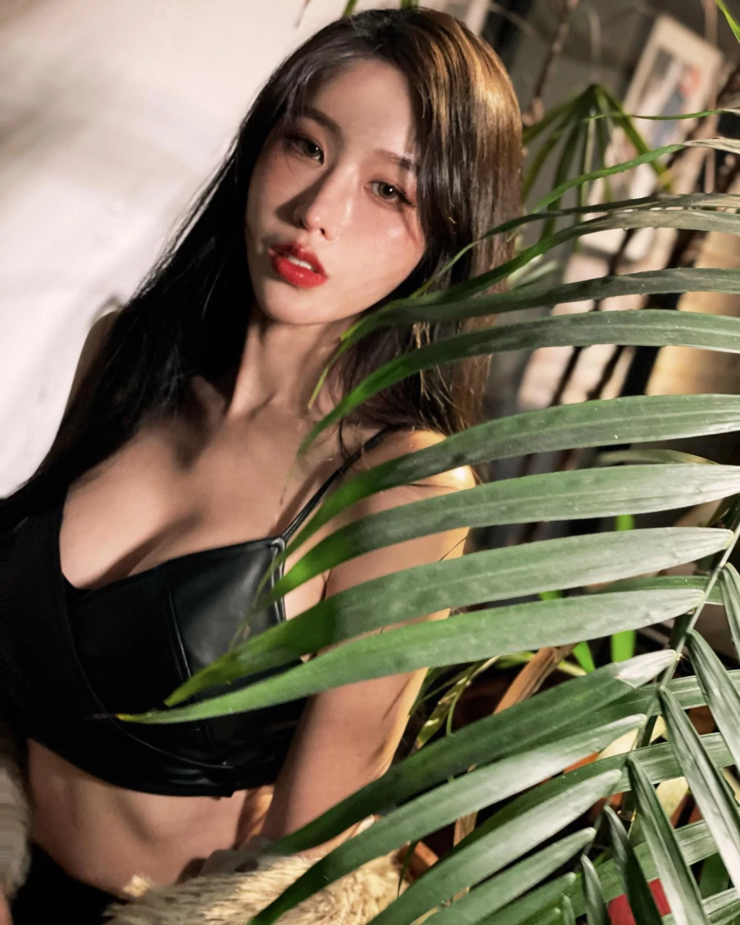 19723003.webp