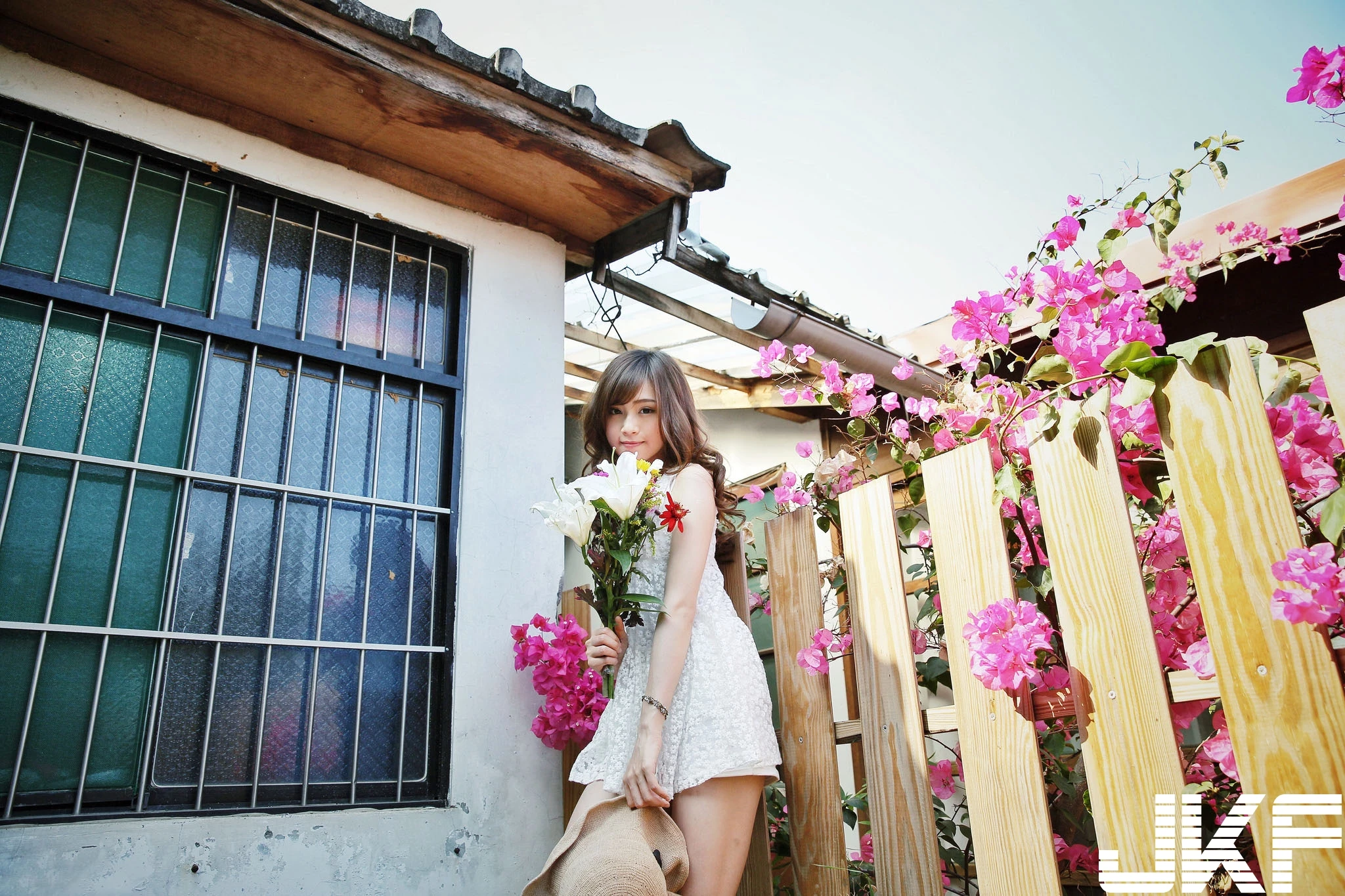 16843667.webp