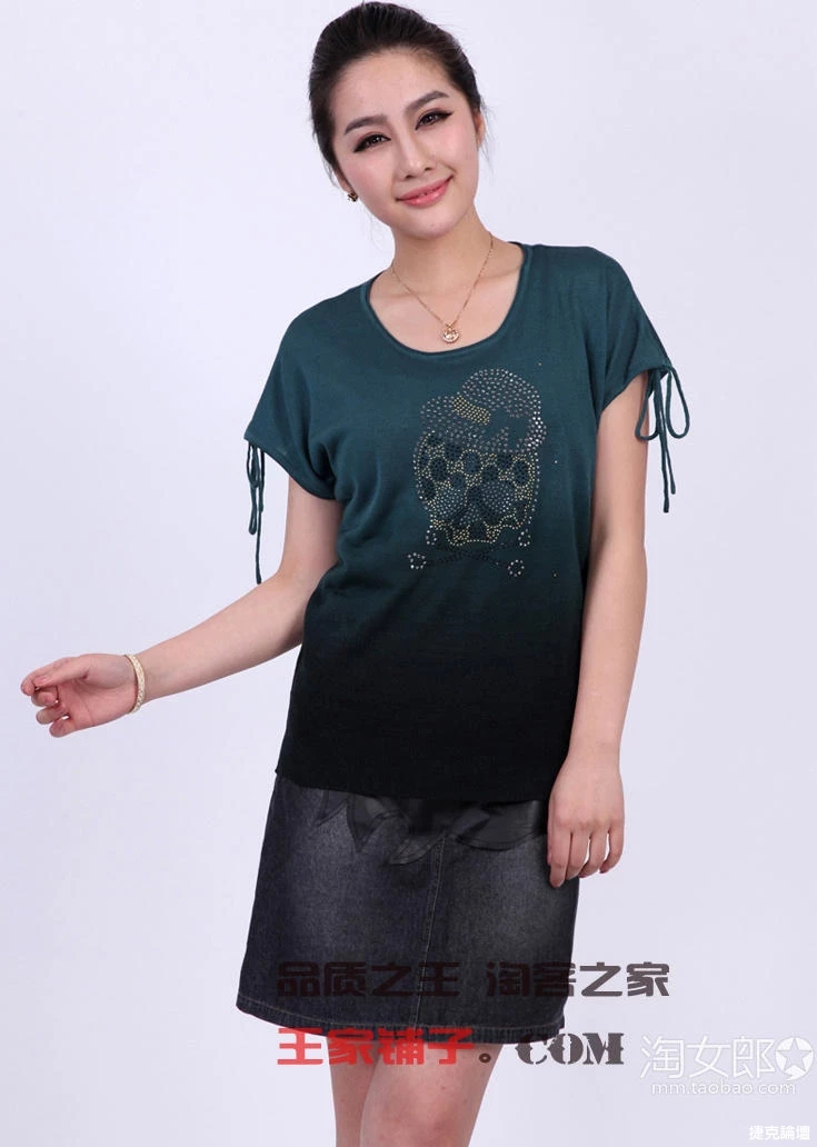 17313001.webp