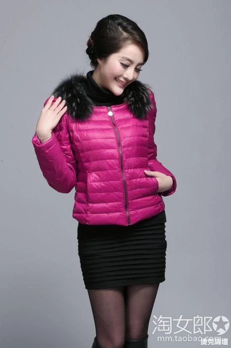 17313067.webp