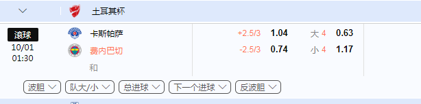 土耳其杯.png
