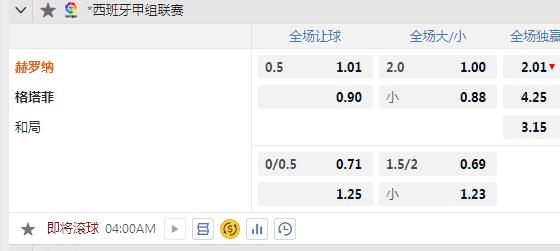 赫罗纳.jpg