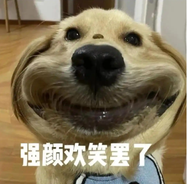 05.png