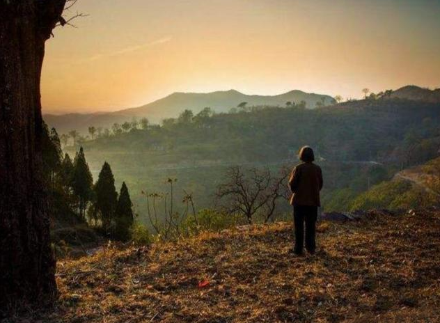 屏幕截图 2025-06-10 121216.png