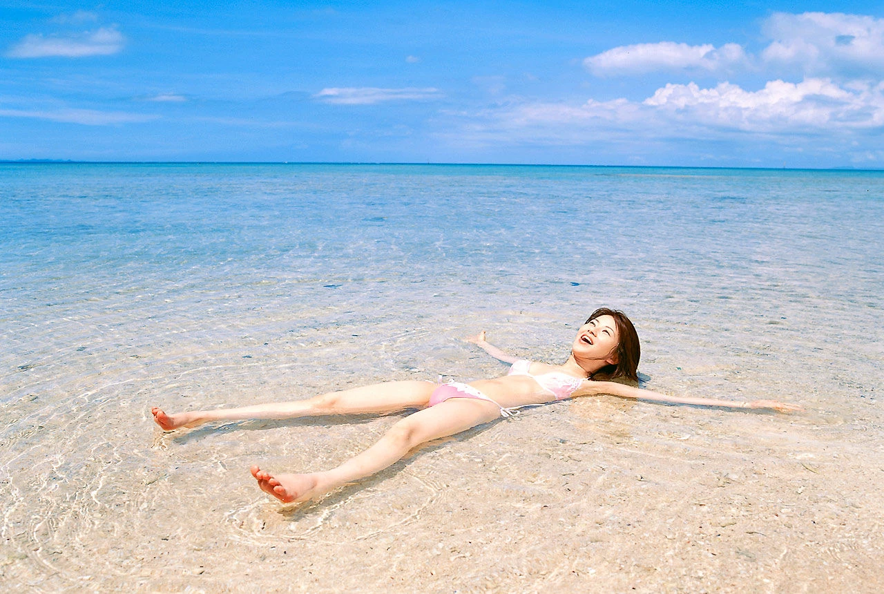 30637040.webp