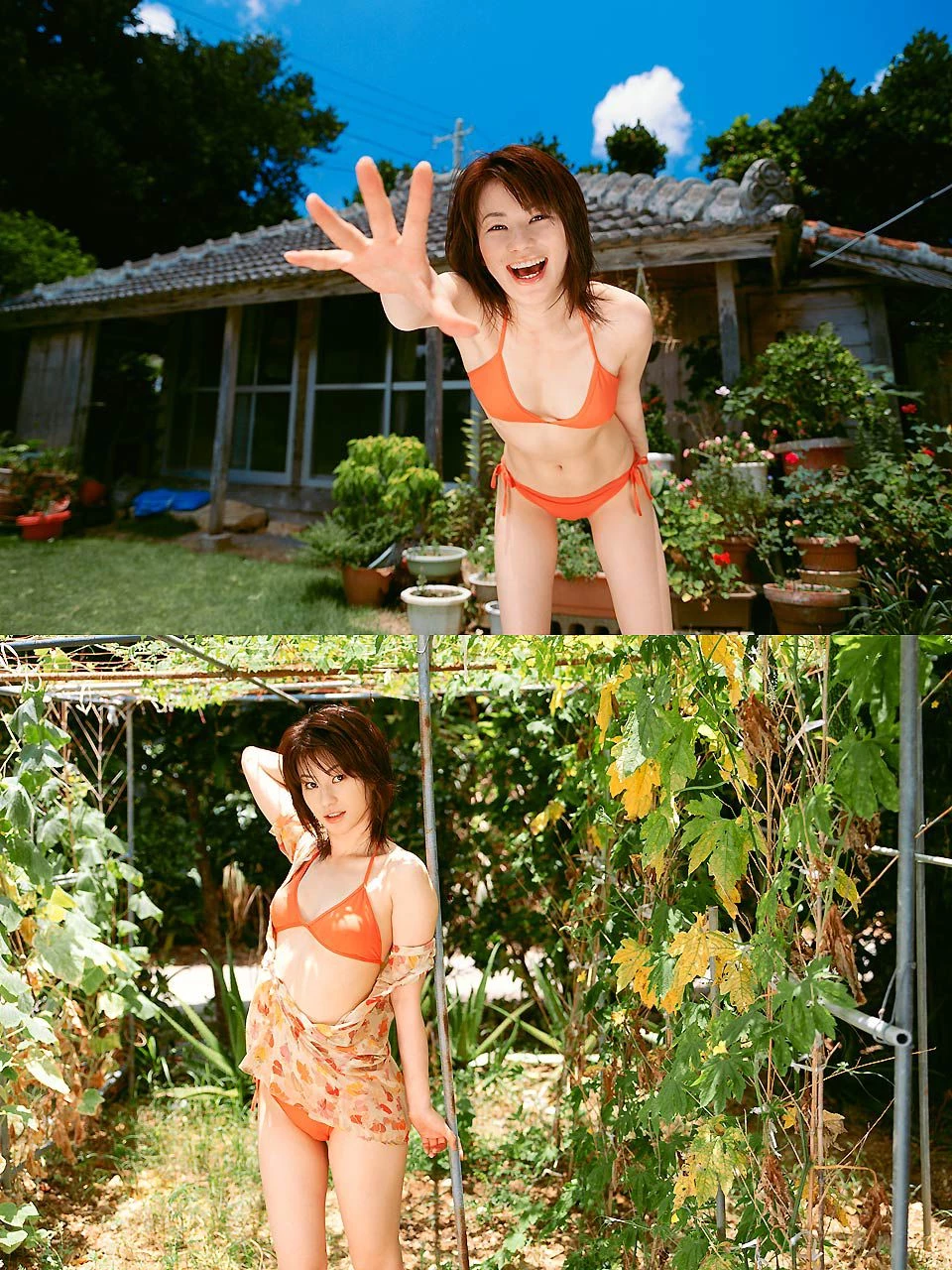 30637045.webp